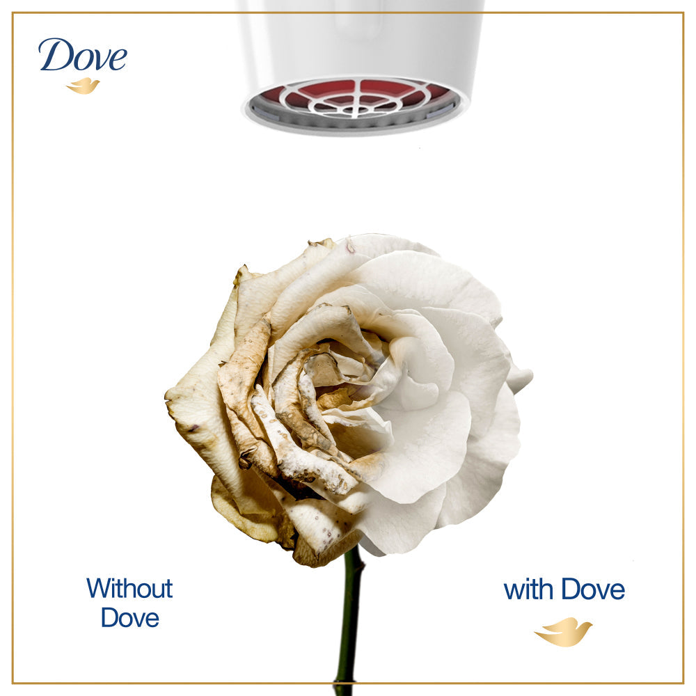 Dove Intense Repair Conditioner - 180ML