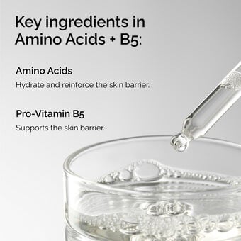 The Ordinary Amino Acids + B5